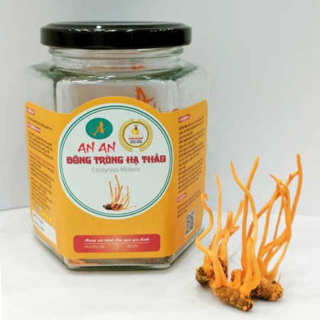 Nấm Đông Trùng Sấy Khô Nguyên Con